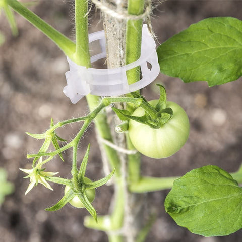 KINGLAKE 200 STK Weiß Kunststoff Pflanzen Clips Pflanzenklammern Rebe Clips für Gemüse Tomate Pflanze Unterstützung