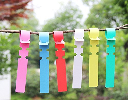 600PCS Multi Plastic Plant Tree Tags Lables 2x20cm Wrap Around Hanging Tags Nursery Garden Stakes Large Writing Surface (Multi)