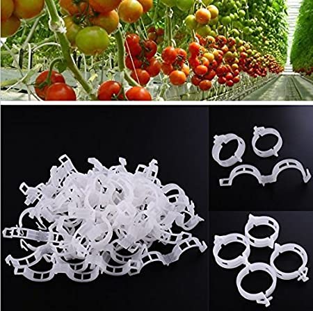 KINGLAKE 200 STK Weiß Kunststoff Pflanzen Clips Pflanzenklammern Rebe Clips für Gemüse Tomate Pflanze Unterstützung
