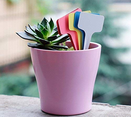 500 Pcs T-type Plant Tags Labels Plastic Garden Markers Waterproof, 5 Colors