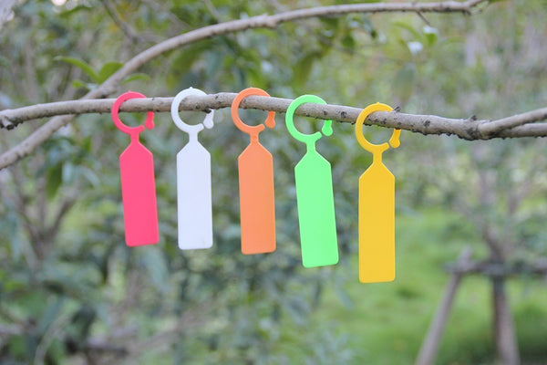 300 Pcs Plastic Tree Labels Plant Hanging Tags Plastic Garden Markers Waterproof, 6 Colors