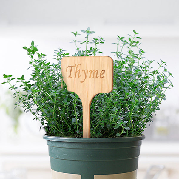 12Pcs Bamboo Plant Labels Eco-Friendly T-type Garden Tags Markers with Word for Herbs Seed Vegetables (10x6cm)